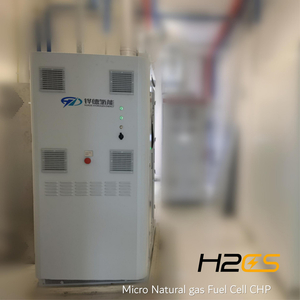 Integrated Carbon Neutral CHP System