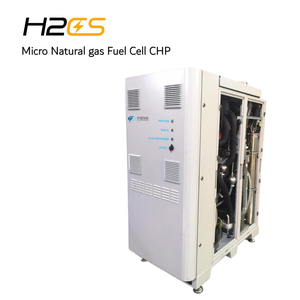 Distributed Domestic CHP System Power Plant