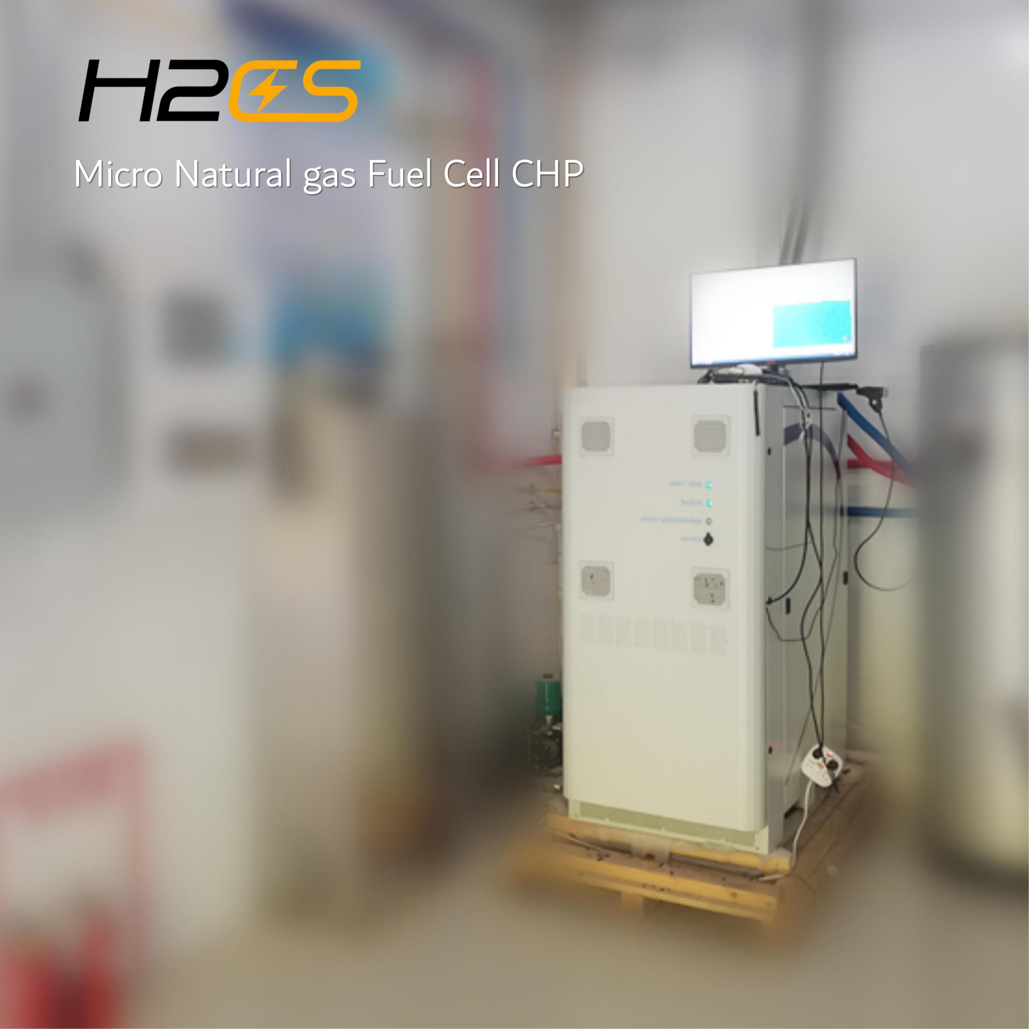 Flow Micro PEM Domestic CHP System